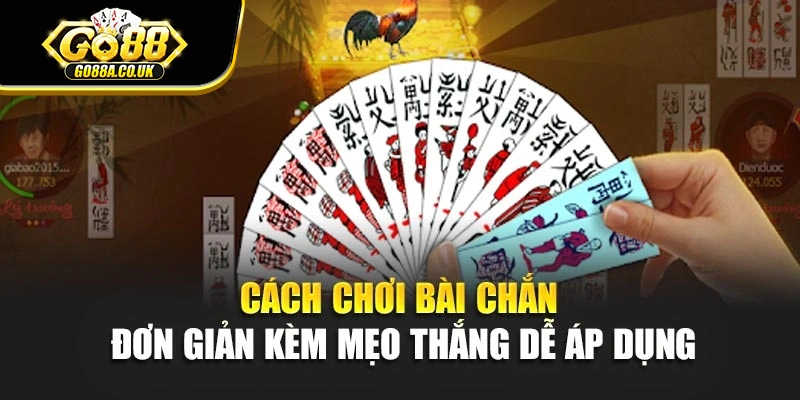 Cách Chơi Bài Chắn Đơn Giản Kèm Mẹo Thắng Dễ Áp Dụng