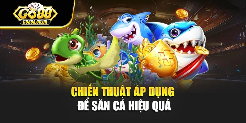Chiến thuật áp dụng để săn cá hiệu quả